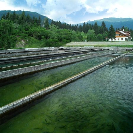 Affittacamere Alle Trote Sutrio Bagian luar foto